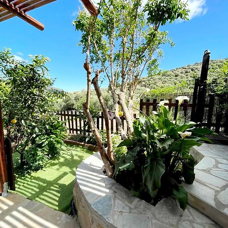 Villa Platipodi stone house Nikithianos Esterno foto